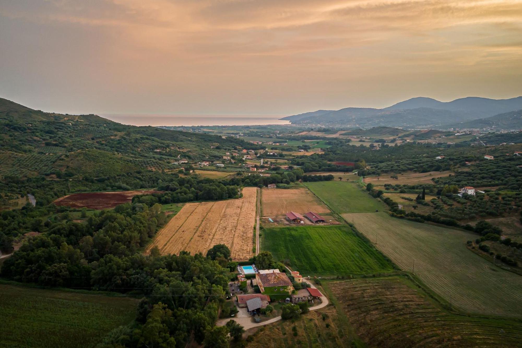 Agriturismo La Petrosa Ceraso Extérieur photo